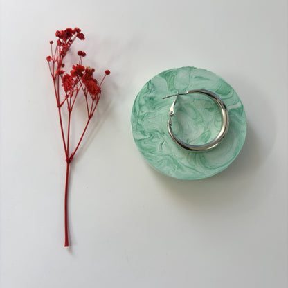 Silver earring and red dried flowers on a white background