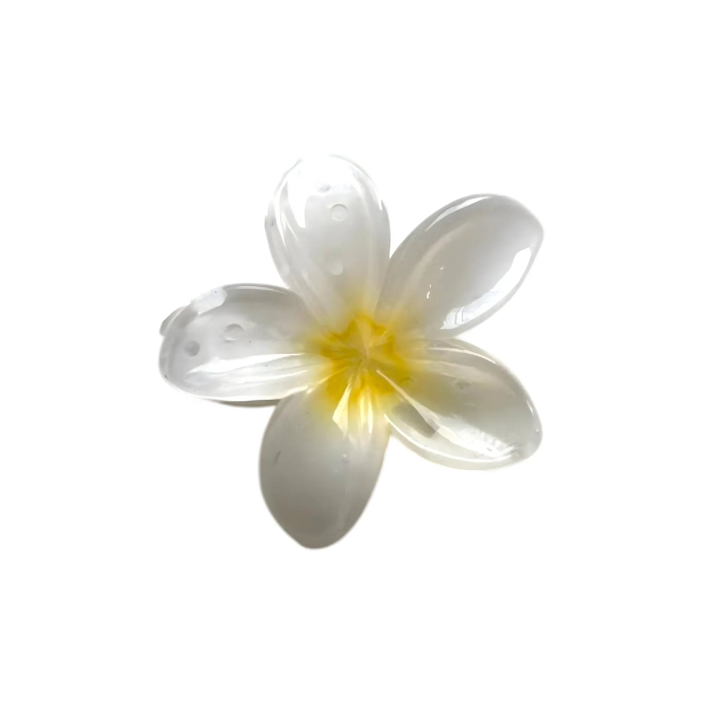 Medium Plumeria Hair Claw - Moonflower