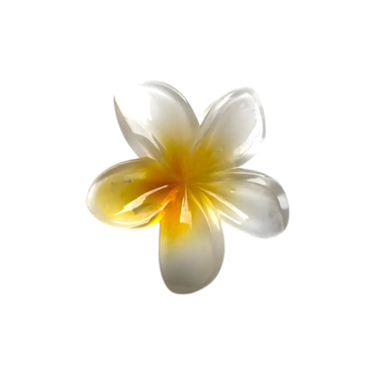 Medium Plumeria Hair Claw - Moonflower