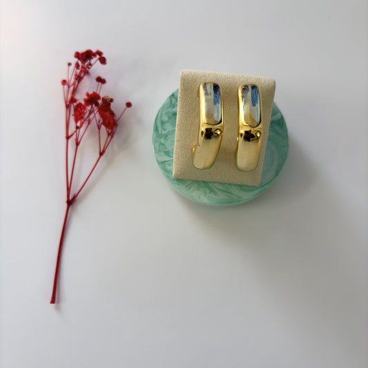 Gold earrings on a green circular stand with a red dried flower on a white background