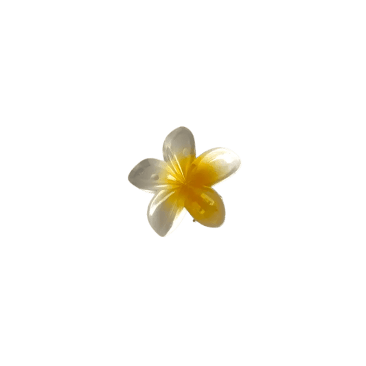 Small Plumeria Hair Claw - Moonflower