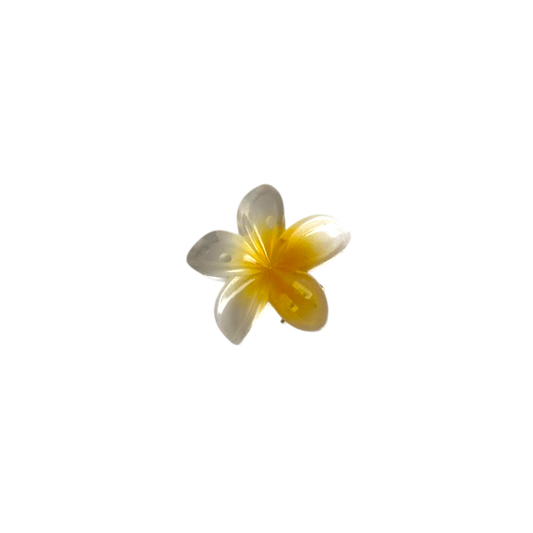 White and Yellow flower clip on a white background